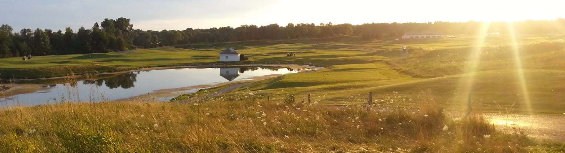 golf course green with pond